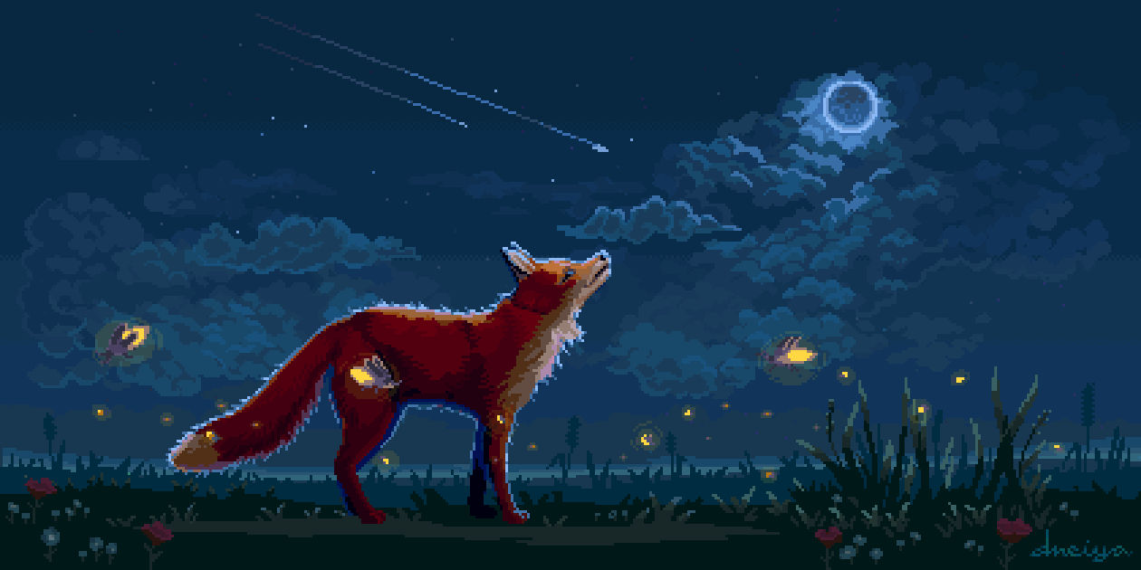 Raccoon Rocket